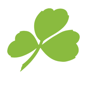 réseaux snapchat instagram facebook youtube de Aer Lingus Brand, Travel, Airline, 