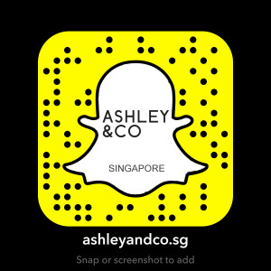 snapchat de Ashley & Co Singapore Social Media, Brand, Lifestyle, Interior Decoration, ; instagram de Ashley & Co Singapore Social Media, Brand, Lifestyle, Interior Decoration, ; youtube de Ashley & Co Singapore Social Media, Brand, Lifestyle, Interior Decoration, ; facebook de Ashley & Co Singapore Social Media, Brand, Lifestyle, Interior Decoration, 