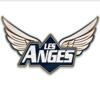 réseaux snapchat instagram facebook youtube de Les Anges Les anges de la télé réalité, 
